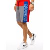 Light gray men's sports shorts Dstreet DS-sx1338