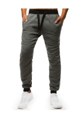 Gray sports pants for men