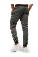 Gray sports pants for men