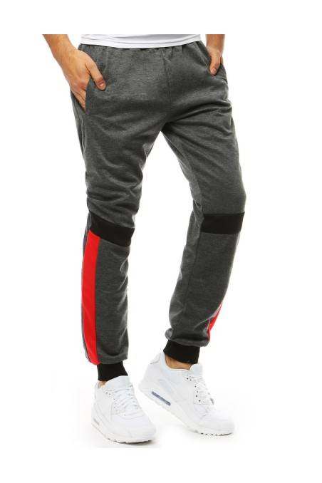 Men's gray sweatpants Dstreet DS-ux3543