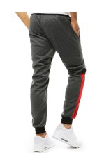 Men's gray sweatpants Dstreet DS-ux3543