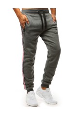 Men's sports pants dark gray DS-ux3623