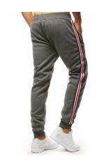 Men's sports pants dark gray DS-ux3623