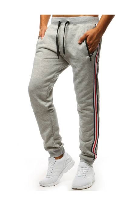 Gray men's sweatpants Dstreet DS-ux3624